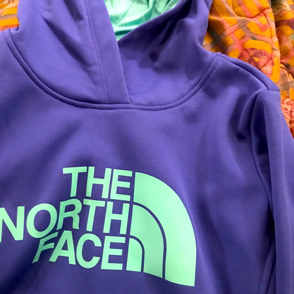 North face hoodie colorblock